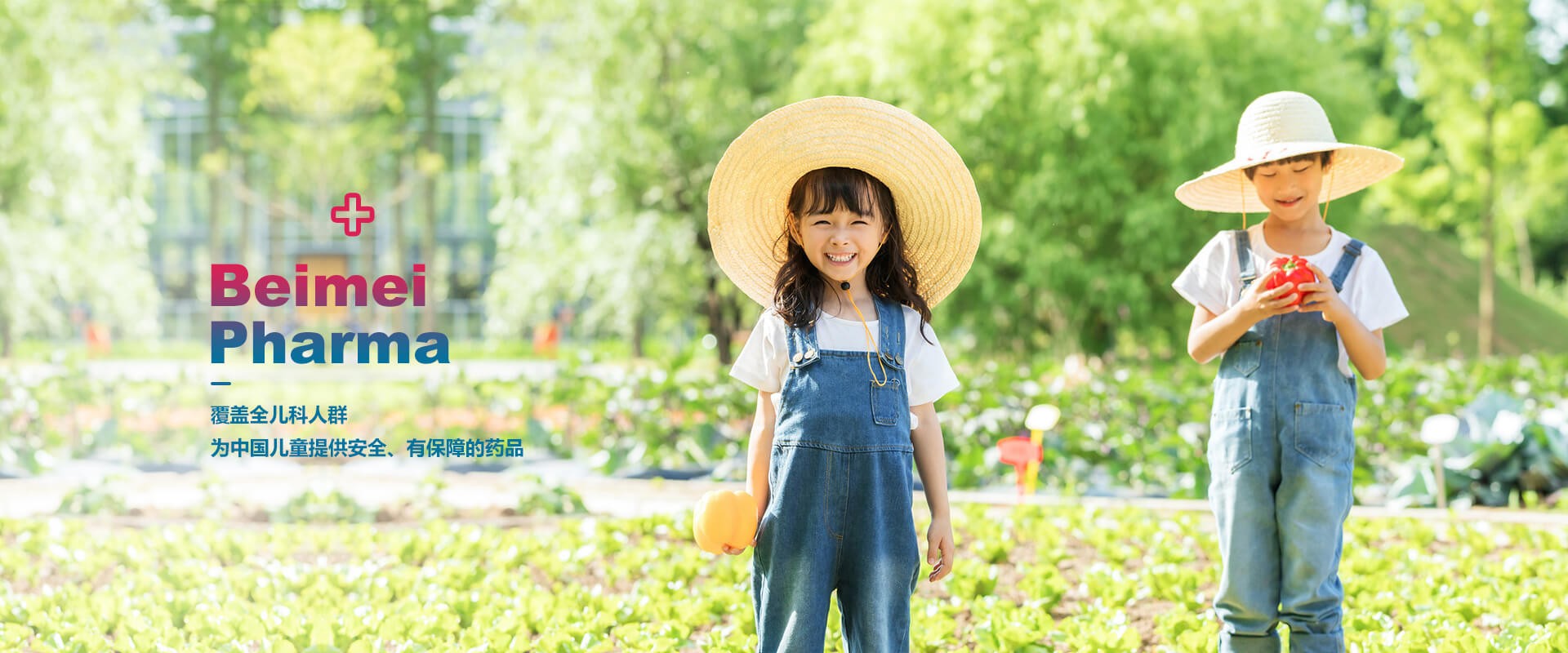 2022年11月貝美藥業(yè)自主研發(fā)的又一個(gè)品種，獲得生產(chǎn)許可B證！